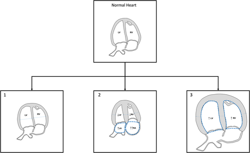 Details are in the caption following the image Details are in the caption following the image