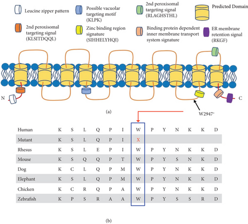 Details are in the caption following the image Details are in the caption following the image