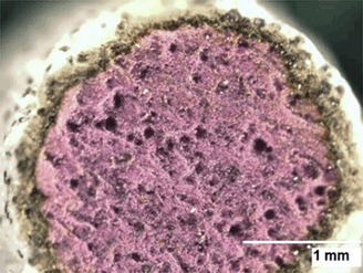 Herstellung und Charakterisierung von reaktiven Adsorbentien – Untersuchungen zum Reaktionsablauf Preparation and Characterization of Reactive Adsorbents – Analysis of the Reaction Process
