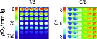 Simultaneous Photographing of Oxygen and pH In Vivo Using Sensor Films