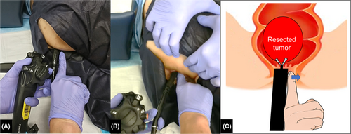 Details are in the caption following the image Details are in the caption following the image