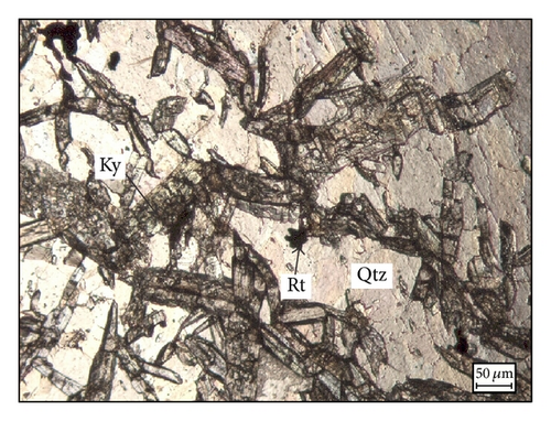 Details are in the caption following the image