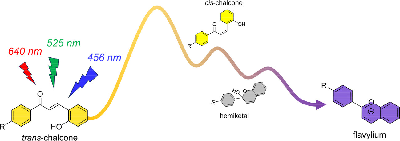 Correspondence on “Visible-Light-Switchable Chalcone-Flavylium Photochromic Systems in Aqueous Media”