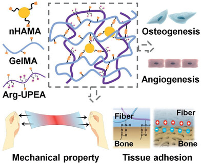 Biomimetic, Stiff, and Adhesive Periosteum with Osteogenic–Angiogenic Coupling Effect for Bone Regeneration