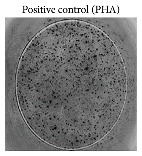 Details are in the caption following the image