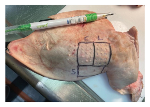 Details are in the caption following the image Details are in the caption following the image