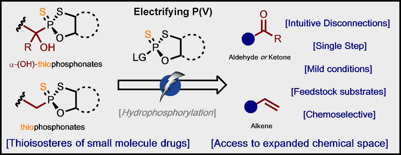 Electrifying P(V): Access to Polar and Radical Reactivity