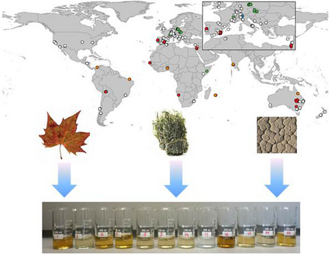 Simulating rewetting events in intermittent rivers and ephemeral streams: A global analysis of leached nutrients and organic matter