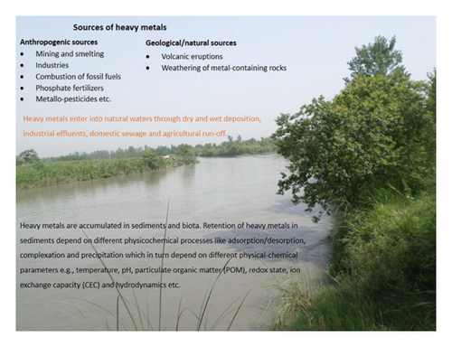 Details are in the caption following the image