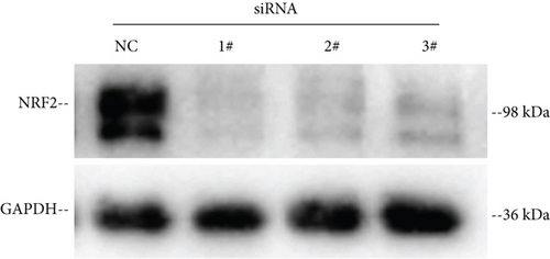 Details are in the caption following the image