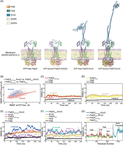 Details are in the caption following the image Details are in the caption following the image