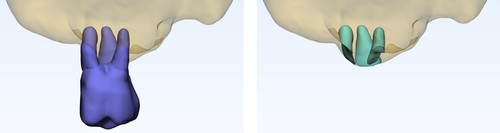 Details are in the caption following the image Details are in the caption following the image