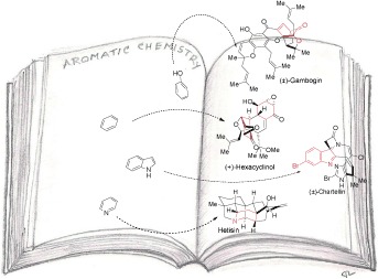 Desaromatisierungsstrategien in der Synthese strukturell komplexer Naturstoffe