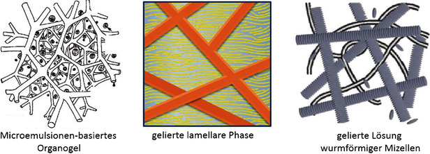 Gelierte komplexe Fluide – die Verbindung einzigartiger Strukturen mit mechanischer Stabilität