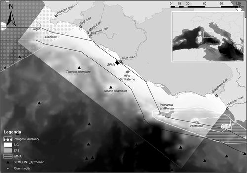 Details are in the caption following the image