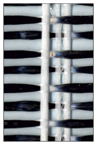 Details are in the caption following the image