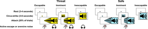 Details are in the caption following the image Details are in the caption following the image