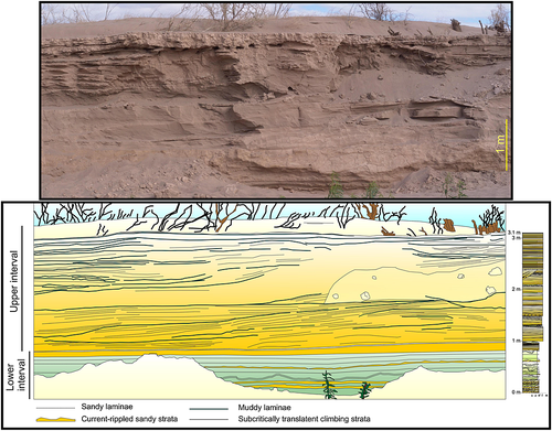 Details are in the caption following the image