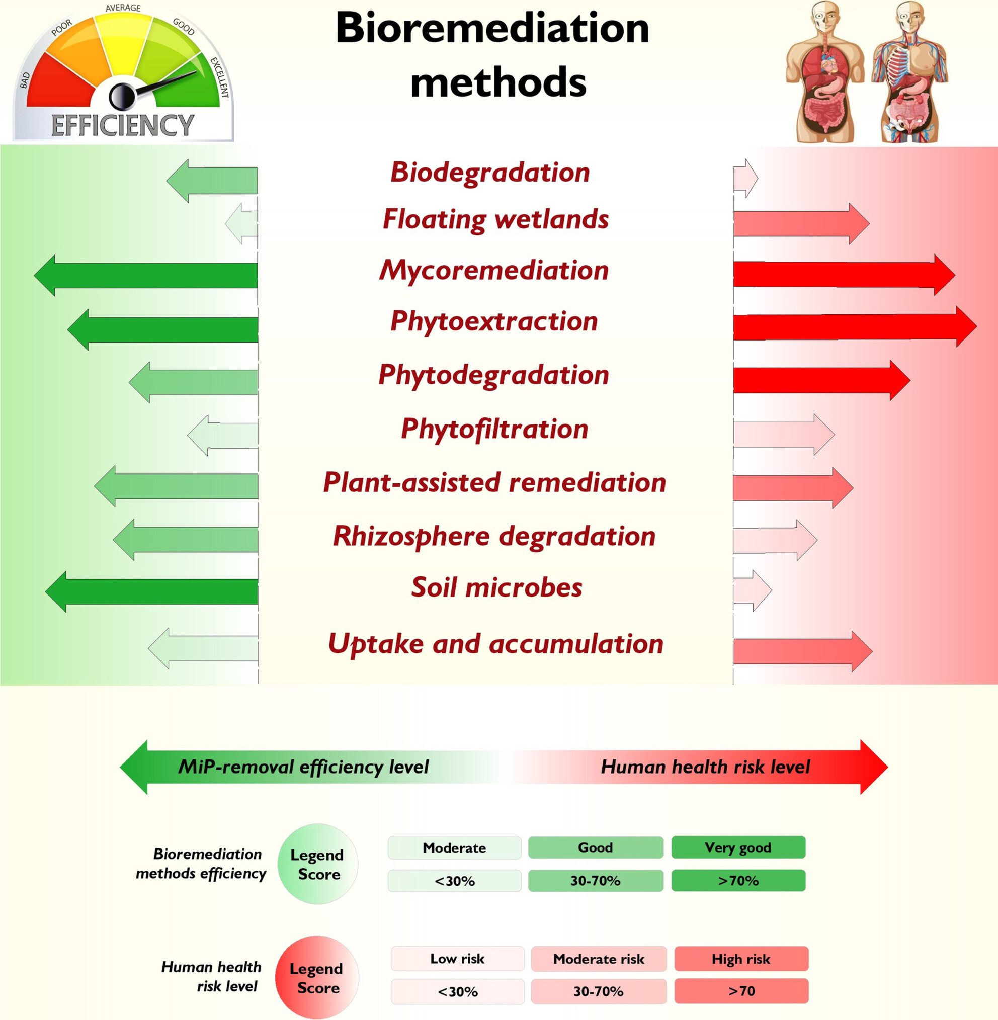 Insights Into the Efficiency and Health Impacts of Emerging Microplastic Bioremediation Approaches