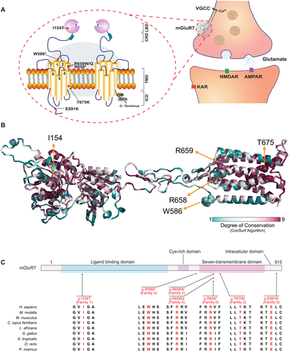 Details are in the caption following the image Details are in the caption following the image