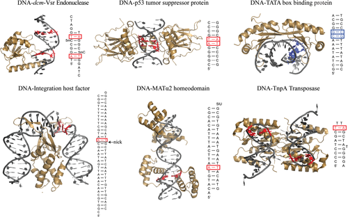 Details are in the caption following the image Details are in the caption following the image