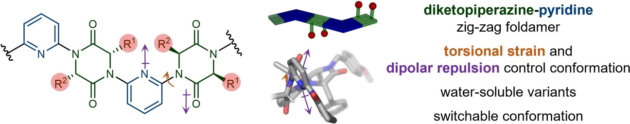 Non-Covalent Interactions Enforce Conformation in Switchable and Water-Soluble Diketopiperazine-Pyridine Foldamers