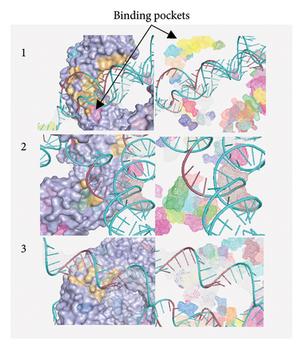 Details are in the caption following the image Details are in the caption following the image