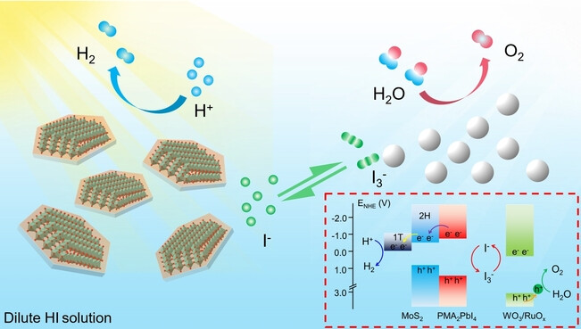 Photocatalytic Overall Water Splitting with a Solar-to-Hydrogen Conversion Efficiency Exceeding 2 % through Halide Perovskite
