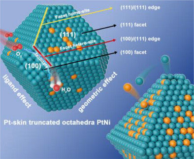 Unveiling the Catalytic Potential of Facet Heterojunctions in Platinum Alloys for Oxygen Reduction Reaction