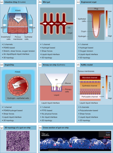 Details are in the caption following the image Details are in the caption following the image
