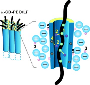 Transferring Lithium Ions in Nanochannels: A PEO/Li+ Solid Polymer Electrolyte Design