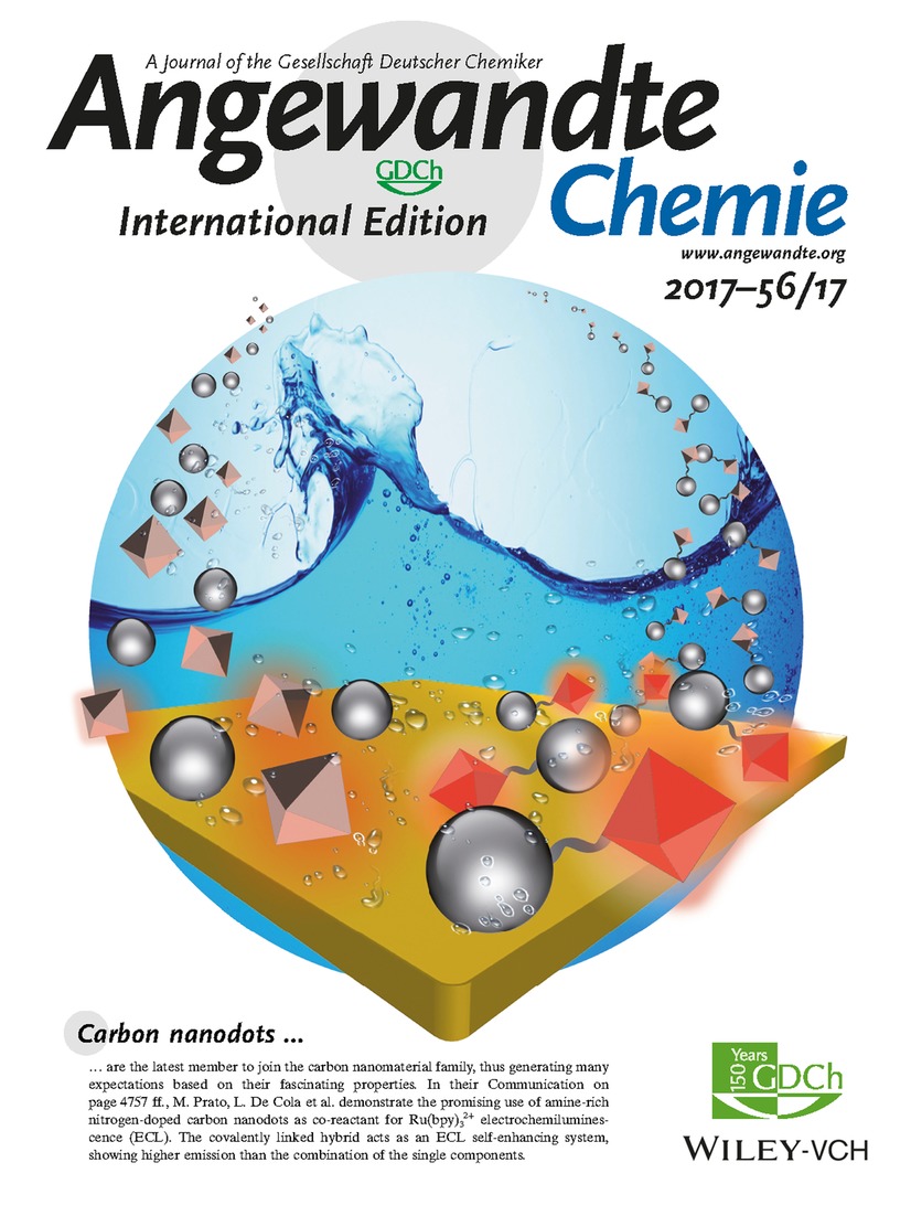 Inside Back Cover: Amine-Rich Nitrogen-Doped Carbon Nanodots as a Platform for Self-Enhancing Electrochemiluminescence (Angew. Chem. Int. Ed. 17/2017) Volume 56 Issue 17, 2017