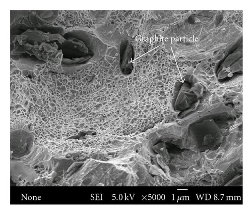 Details are in the caption following the image