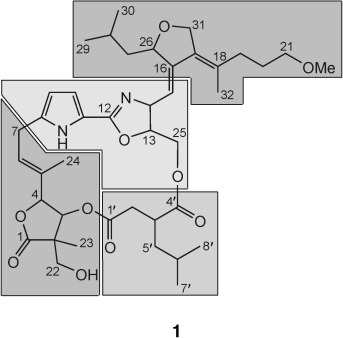 Unusual Biosynthesis of Leupyrrins in the Myxobacterium Sorangium cellulosum