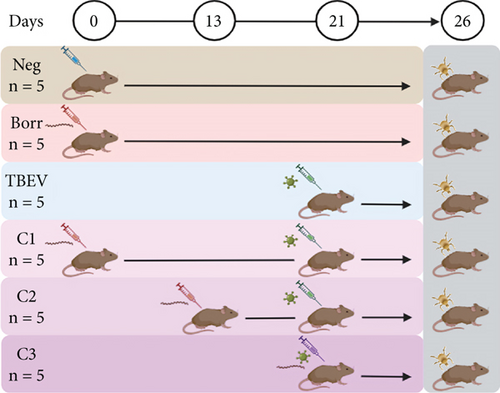 Details are in the caption following the image Details are in the caption following the image