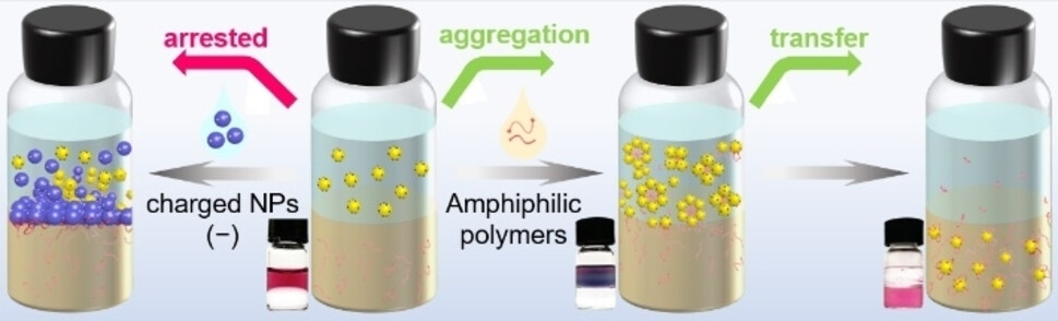 Using Aggregation to Chaperone Nanoparticles Across Fluid Interfaces