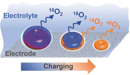 Isotopic Labeling Reveals Active Reaction Interfaces for Electrochemical Oxidation of Lithium Peroxide