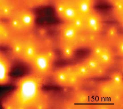 Microbial Synthesis of Multishaped Gold Nanostructures