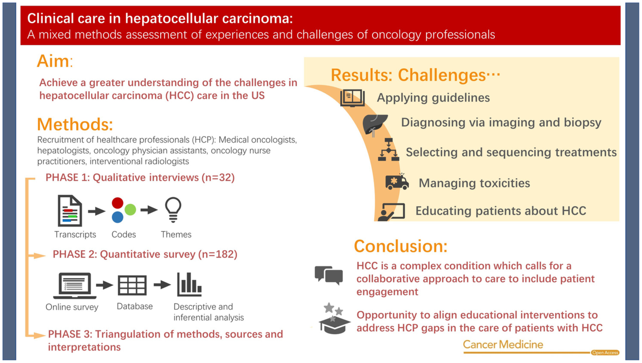 Clinical care in hepatocellular carcinoma: A mixed methods assessment of experiences and challenges of oncology professionals
