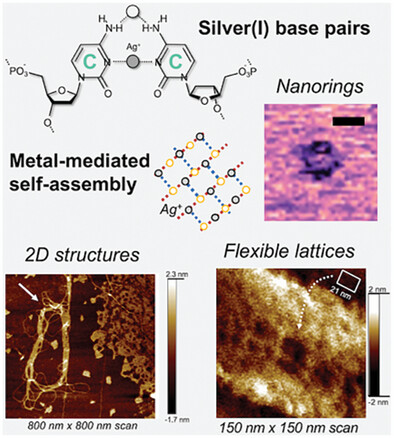 Silver(I)-Mediated 2D DNA Nanostructures