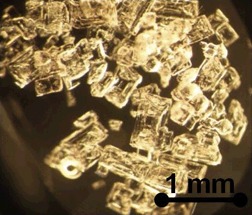Solubility Characteristics and Crystallization Behavior of Oxalic Acid in the Presence of Sulfuric Acid