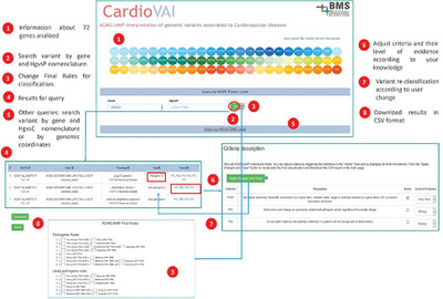 CardioVAI: An automatic implementation of ACMG-AMP variant interpretation guidelines in the diagnosis of cardiovascular diseases