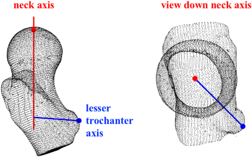 Details are in the caption following the image Details are in the caption following the image