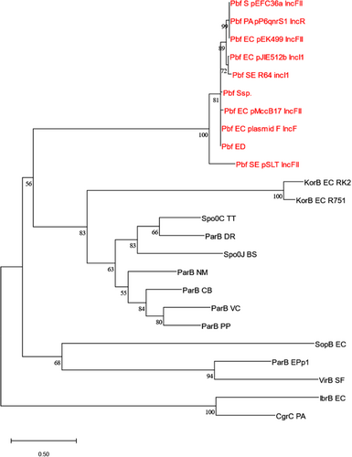 Details are in the caption following the image Details are in the caption following the image