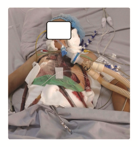 Details are in the caption following the image Details are in the caption following the image