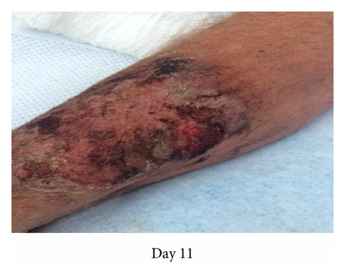 Details are in the caption following the image Details are in the caption following the image