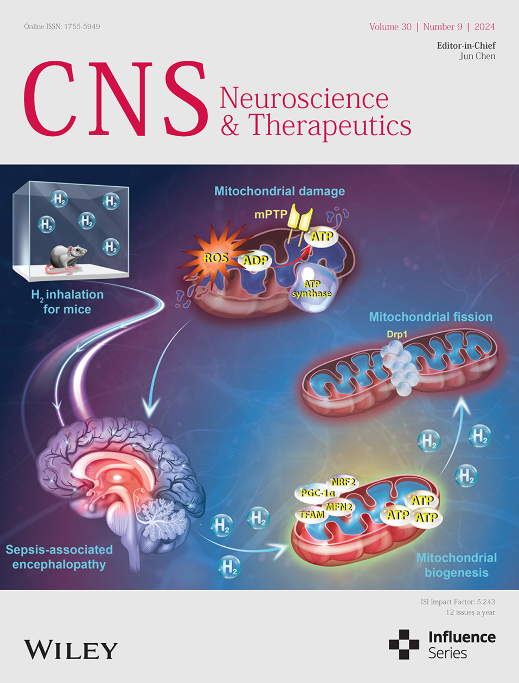 Front Cover Volume 30 Issue 9, 2024