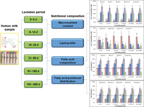 Macronutrient content and fatty acid composition and their positional distribution in human breast milk from Zhejiang Province, China in different lactation periods