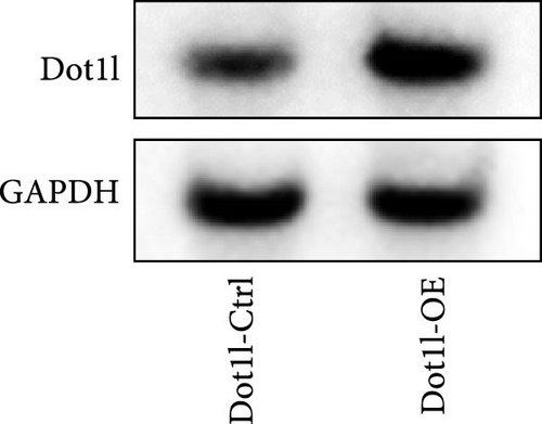 Details are in the caption following the image