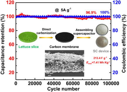 High-Performance Aqueous Supercapacitors Based on Biomass-Derived Multiheteroatom Self-Doped Porous Carbon Membranes